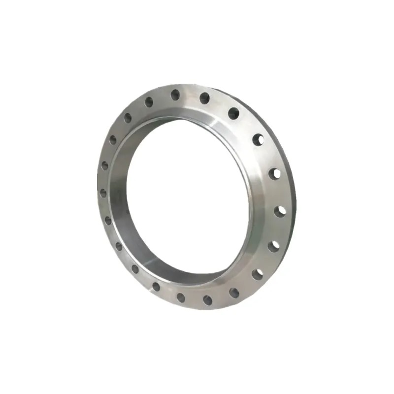 Stainless Steel Connector Plate Flange Pipe Fitting Butt Weld Flange